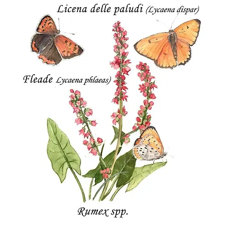 Cascina Lai - Oasi Naturalistica - Private Guest house Santena