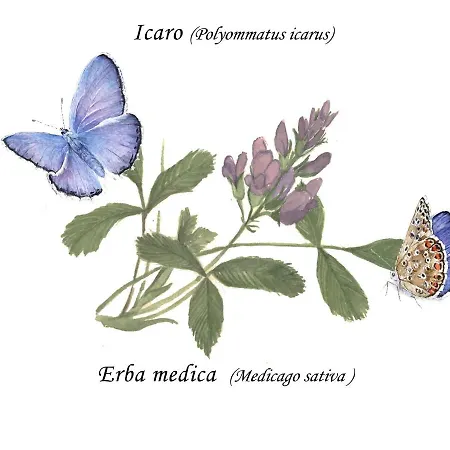 Cascina Lai - Oasi Naturalistica - Private * Santena