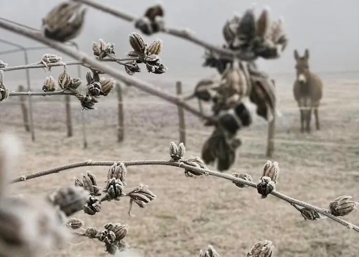 Cascina Lai - Oasi Naturalistica - Private 招待所 Santena